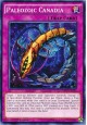 Paleozoic Canadia - MP17-EN124 - Common