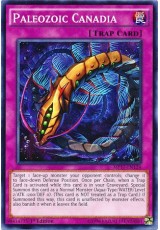 Paleozoic Canadia - MP17-EN124 - Common