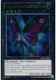 Photon Papilloperative - AP02-EN002 - Ultimate Rare