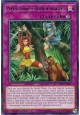 Amazoness Onslaught - LEDU-EN011 - Rare