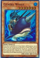 Citadel Whale - LEDU-EN016 - Ultra Rare