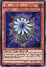 Glow-Up Bulb - LC5D-EN092 - Secret Rare