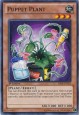 Puppet Plant - YSKR-EN022 - Common