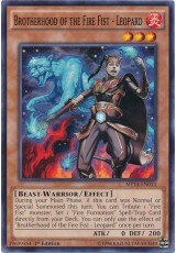 Brotherhood of the Fire Fist - Leopard - MP14-EN013 - Common