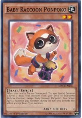 Baby Raccoon Ponpoko - MP14-EN136 - Common