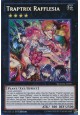 Traptrix Rafflesia - BOSH-EN099 - Secret Rare