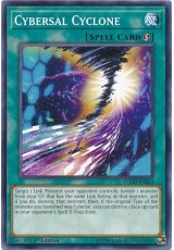 Cybersal Cyclone - FLOD-EN053 - Common