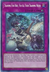 Training Fur Hire, Fur All Your Training Needs - DASA-EN026 - Secret Rare