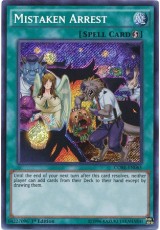 Mistaken Arrest CORE-EN065 - Secret