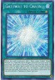 Gateway to Chaos - SHVA-EN058 - Secret Rare