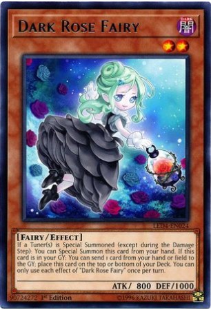Dark Rose Fairy - LED4-EN024 - Rare