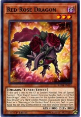 Red Rose Dragon - LED4-EN025 - Rare