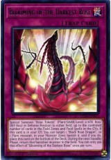 Blooming of the Darkest Rose - LED4-EN027 - Rare