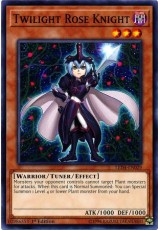 Twilight Rose Knight - LED4-EN029 - Common