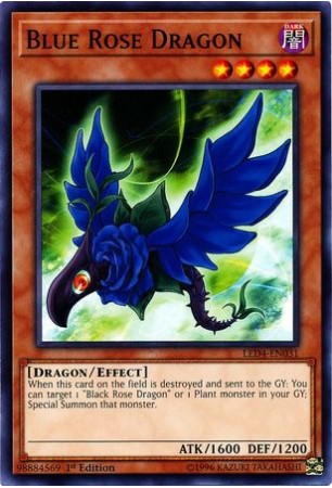 Blue Rose Dragon - LED4-EN031 - Common