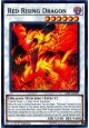 Red Rising Dragon - SAST-EN099 - Common