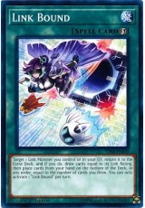 Link Bound - SDSB-EN030 - Common