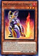 Salamangreat Fennec - DANE-EN003 - Common