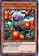 Star Staring Starling - DANE-EN024 - Rare