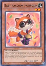 Baby Raccoon Ponpoko - SHSP-EN014 - Common 