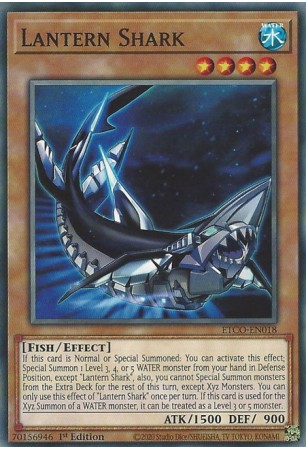 Lantern Shark - ETCO-EN018 - Common