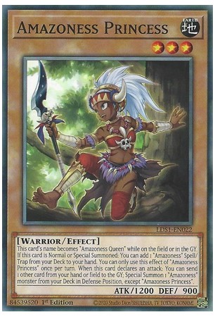 Amazoness Princess - LDS1-EN022 - Common