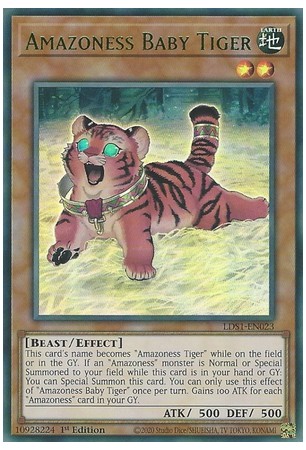 Amazoness Baby Tiger - LDS1-EN023 - Ultra Rare