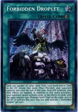 Forbidden Droplet - ROTD-EN065 - Secret Rare