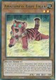 Amazoness Baby Tiger - LDS1-EN023 - Ultra Rare