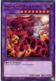 Invoked Magellanica - GEIM-EN056 - Rare