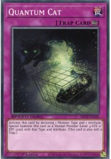 Quantum Cat - SBCB-EN200 - Common