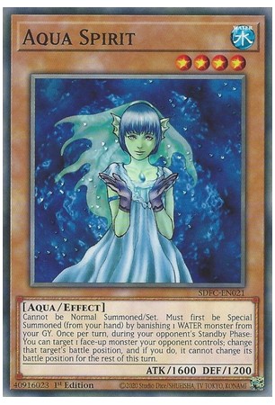 Aqua Spirit - SDFC-EN021 - Common