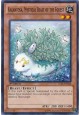 Kalantosa, Mystical Beast of the Forest - LVAL-EN036 - Common