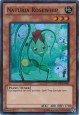 Naturia Rosewhip - HA02-EN041 - Super Rare