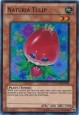 Naturia Tulip - HA03-EN013 - Super Rare