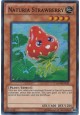 Naturia Strawberry - HA04-EN021 - Super Rare