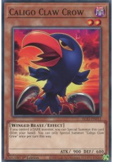 Caligo Claw Crow - EGS1-EN012 - Common