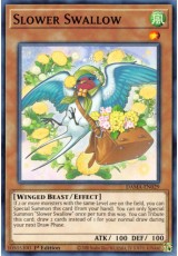 Slower Swallow - DAMA-EN029 - Common