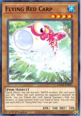 Flying Red Carp - DAMA-EN093 - Common