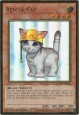 Rescue Cat - MGED-EN006 - Premium Gold Rare