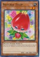Naturia Tulip - HAC1-EN104 - Common