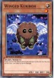 Winged Kuriboh - SGX1-ENA06 - Secret Rare