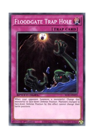 Floodgate Trap Hole - SGX1-ENI23 - Secret Rare