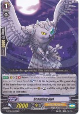 Scouting Owl - G-BT06/047EN - C