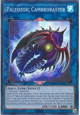 Paleozoic Cambroraster - MP22-EN088 - Super Rare