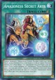 Amazoness Secret Arts - DABL-EN099 - Common