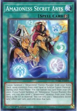 Amazoness Secret Arts - DABL-EN099 - Common