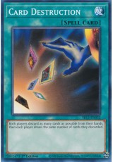 Card Destruction - SR13-EN032 - Common