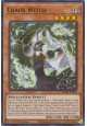 Chaos Witch - PHHY-EN009 - Super Rare