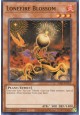 Lonefire Blossom - SDBT-EN013 - Common